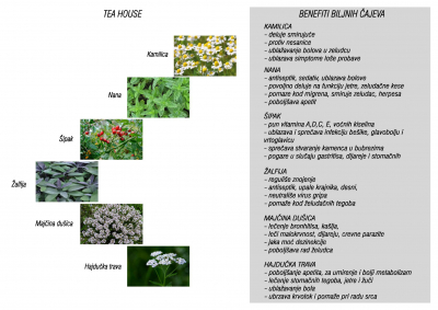 KATALOG-STUDIO-01B_Page_117