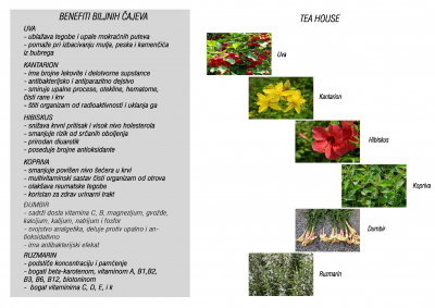 KATALOG-STUDIO-01B_Page_118