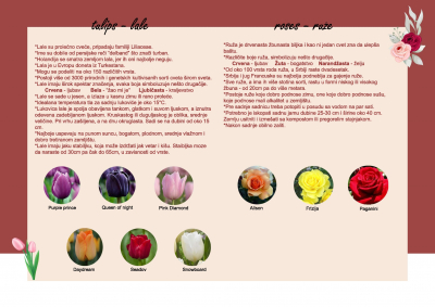 KATALOG-STUDIO-01B_Page_133